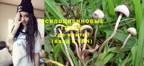 mdpv Богородицк