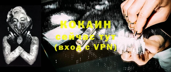 mdpv Богородицк