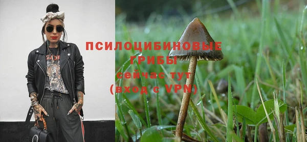 бошки Богородск