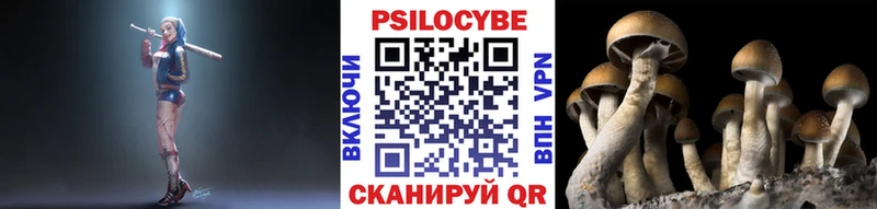 Псилоцибиновые грибы MAGIC MUSHROOMS  МЕГА ссылка  Кирсанов 