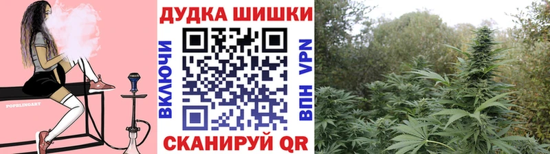 Канабис Ganja  наркотики  Кирсанов 